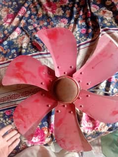 Air coler moter +Fan