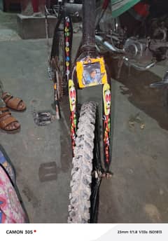 cycle sonic frame