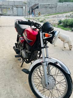 CD HONDA 100