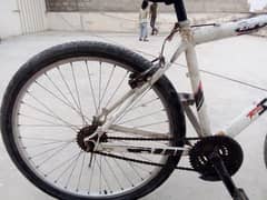 cycle for sale