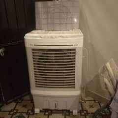 Sabro Cooler 1 season used.