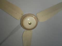 Celling fan. Cream color. Full cooper. 100%  working. cold air . .
