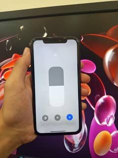 iPhone 11 Non pta