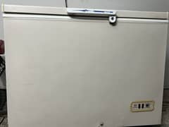 Dawlence Freezer
