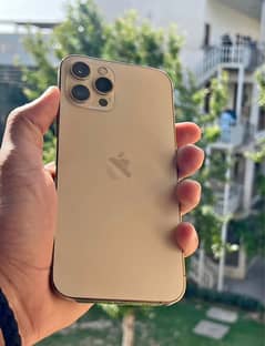 iphone 12pro max physical approved