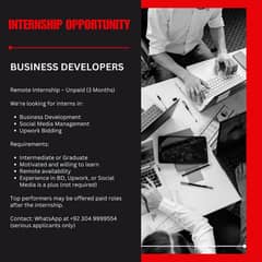 Looking for business developers