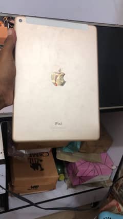 iPad