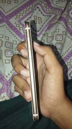 Iphone 8