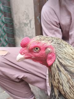 12 13