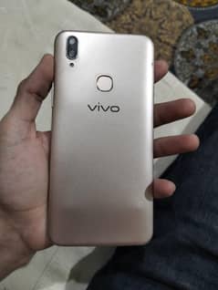 vivo
