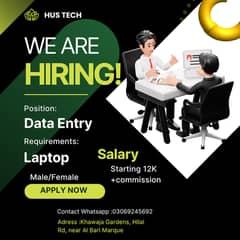Data Entry Job