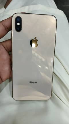 XS MAX Lush Condition