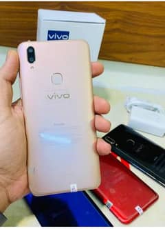 Vivo