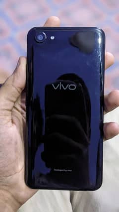 vivo