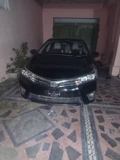 tutor gli
