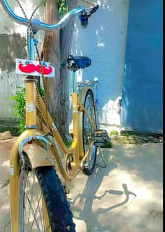 Original cycle condition be thk ha all okay ha