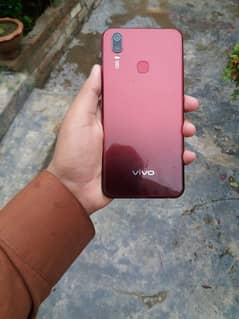 vivo