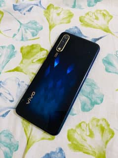vivo