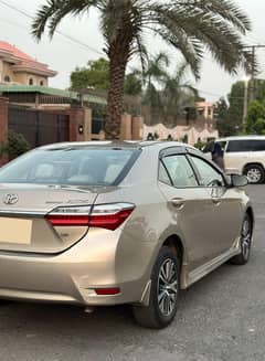 Corolla