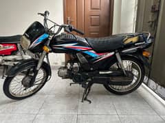 CD 70 Dream
