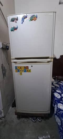 orient jumbo size refrigerator