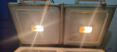 Wasves Deep Freezer