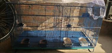Cage