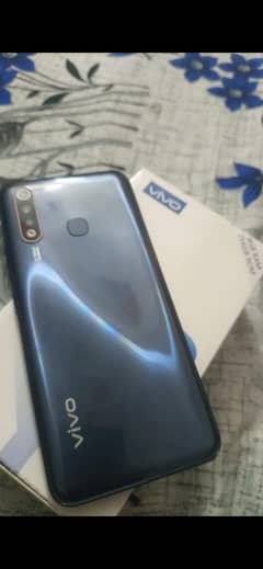vivo
