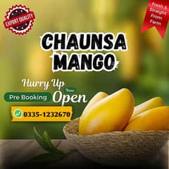 Mango Chunsa The King of Taste