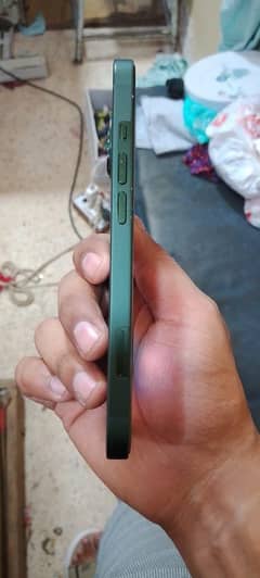 Apple 13