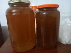 Forest Honey [small bees]