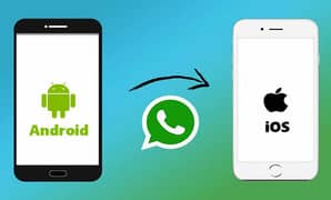 WhatsApp data transfer