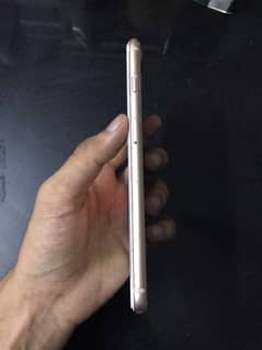 iPhone 8 Plus color Gold