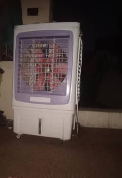 Asia room cooler hay
