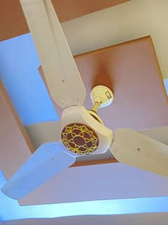celling fan new condition