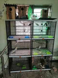 love bird cage