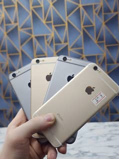 IPhone 6 in best prices