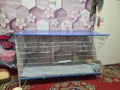 cage animal