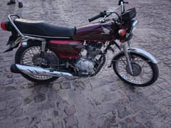 Honda 125 Red 2021