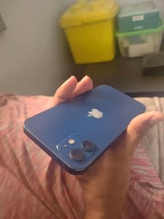 Apple Expert