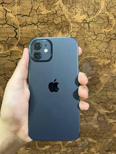 iphone 12 jv 64 gb 100 health lush condition