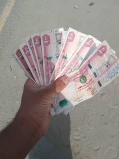 I need female only