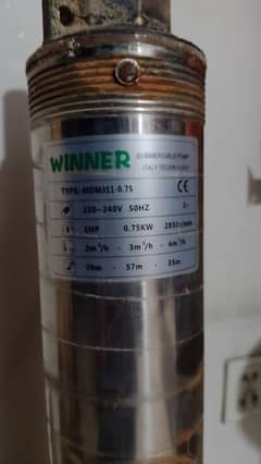 winner
