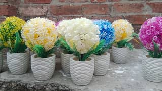 available with white pot