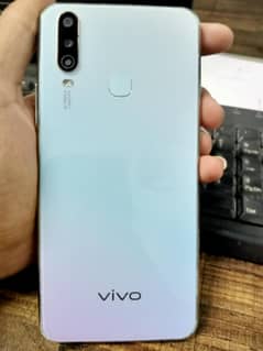 vivo