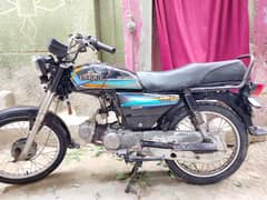 Model 2019