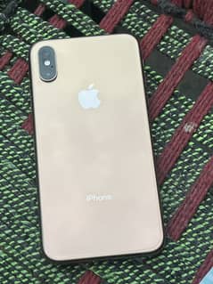 Golden colour fresh xs