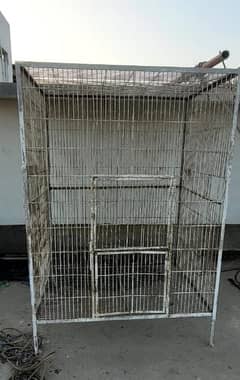 urgent sale cage hen . maccow. grey parrot