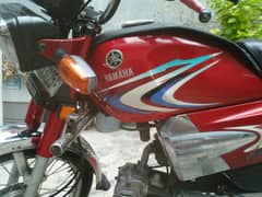 Yamaha