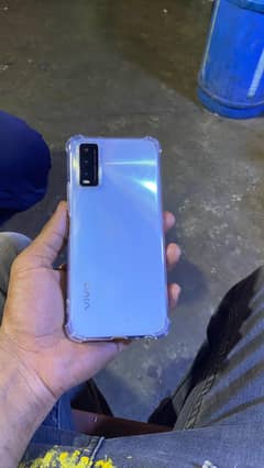 vivo